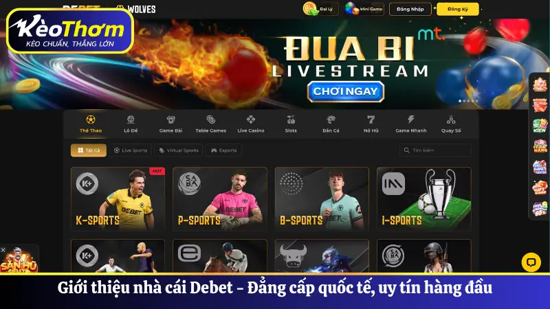 Debet - Sân Chơi Cá Cược Trực Tuyến Hàng Đầu Châu Á 2 Giới thiệu nhà cái Debet - Đẳng cấp quốc tế, uy tín hàng đầu