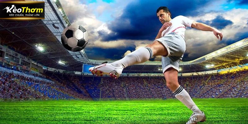 Cấu trúc bản tin tại Livescore