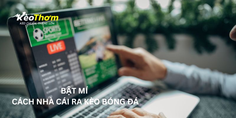 Cách nhà cái ra kèo bóng đá