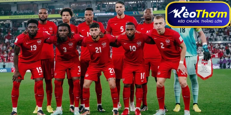 Nhận định soi kèo Canada vs Qatar từ chuyên gia Kèo Thơm