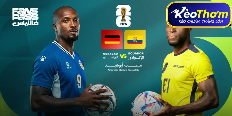 Moisés Caicedo - Nhạc trưởng dẫn dắt lối chơi của Đội tuyển Ecuador.