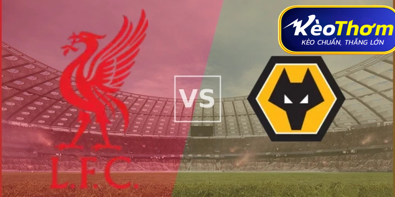 Liverpool vs Wolves Kèo Thơm: Phân tích tỷ lệ, thống kê lịch sử đối đầu