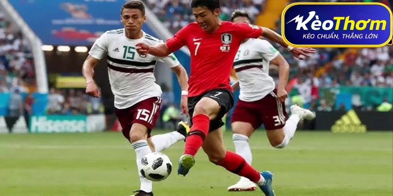 Mexico vs Hàn Quốc | Thành Tích Đối Đầu Qua Từng Giai Đoạn 2 Bảng tóm tắt dữ liệu trận đấu Mexico vs Hàn Quốc và nhận định soi kèo