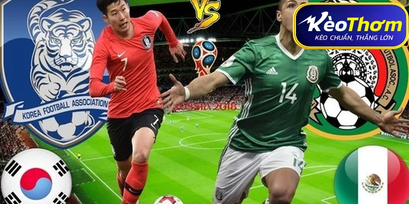 Mexico vs Hàn Quốc | Thành Tích Đối Đầu Qua Từng Giai Đoạn 4 Hàn Quốc: Bản lĩnh "Chiến binh Taegeuk" và Son Heung-min