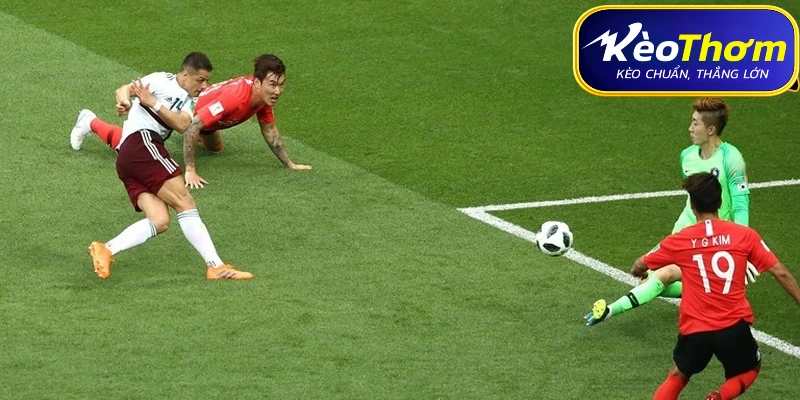Mexico vs Hàn Quốc | Thành Tích Đối Đầu Qua Từng Giai Đoạn 6 Đội hình dự kiến Mexico vs Hàn Quốc ngày 19/06/2026