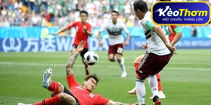 Mexico vs Hàn Quốc | Thành Tích Đối Đầu Qua Từng Giai Đoạn 7 Nhận định soi kèo Mexico vs Hàn Quốc