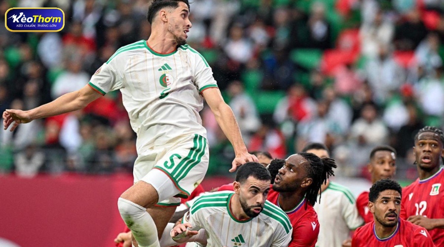 Nhận định Áo vs Algérie World Cup 2026: Cuộc chiến giành vé đi tiếp tại bảng J 3 Riyad Mahrez vẫn là linh hồn trong các đợt tấn công của "Les Fennecs".