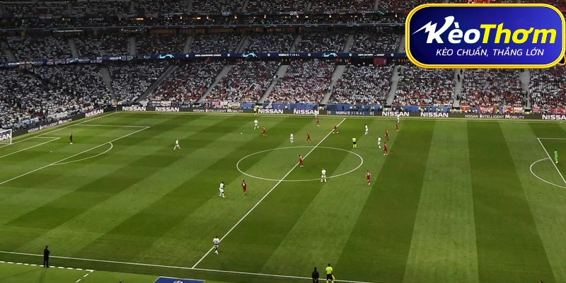 Thông tin trước trận đấu Bỉ vs Iran tại bảng G World Cup 2026.