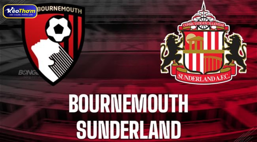 Bournemouth vs Sunderland: Dữ liệu đối đầu và kịch bản khó lường 3 Lịch sử Bournemouth vs Sunderland và cán cân dần thay đổi