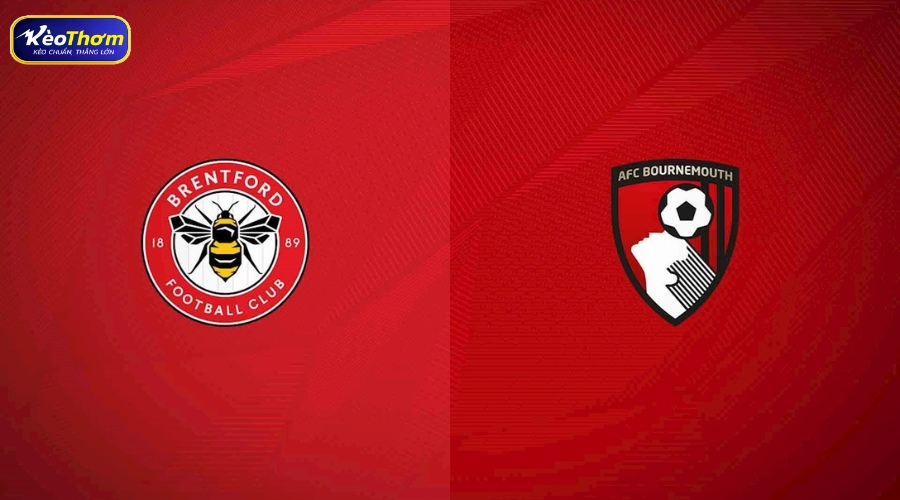 Brentford vs Bournemouth | Thống Kê Và Nhận Định Kèo 5 Nhận định kèo brentford vs bournemouth từ KeoThom
