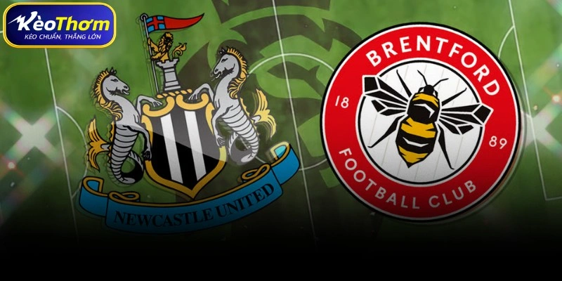 Brentford vs Newcastle