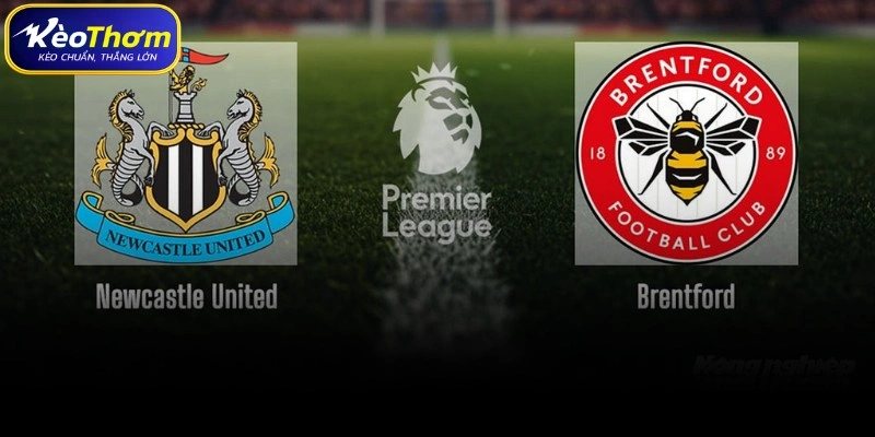 Biên niên sử đối đầu giữa Brentford vs Newcastle