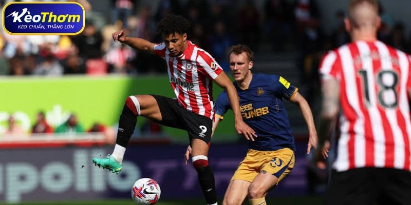 Tổng quát về số liệu thống kê Brentford vs Newcastle