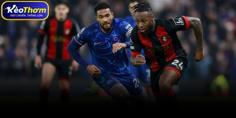 Chelsea vs Bournemouth | Màn So Tài Hấp Dẫn Tại Stamford Bridge 2 Biên niên sử đối đầu - Sự kiên cường của "The Cherries"
