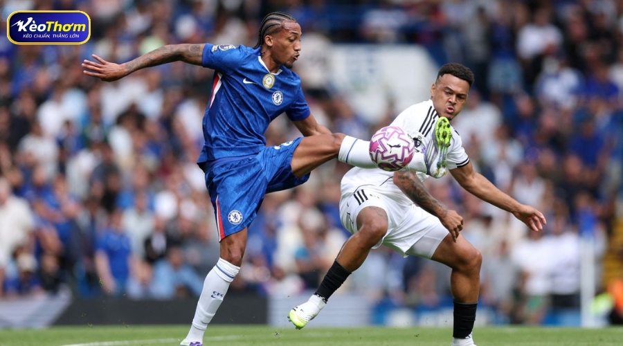 Chelsea vs Fulham: Thống kê đối đầu và những diễn biến đáng chú ý Derby Tây London 4 Harry Wilson ăn mừng bàn thắng quyết định vào lưới Chelsea trong trận derby đầy cảm xúc tháng 1/2026.