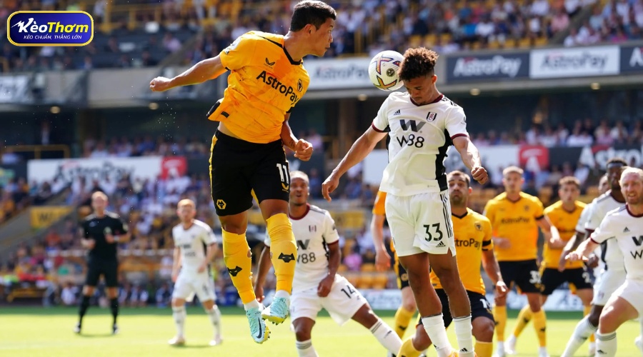 Nhận định kèo Fulham vs Wolves từ KeoThom