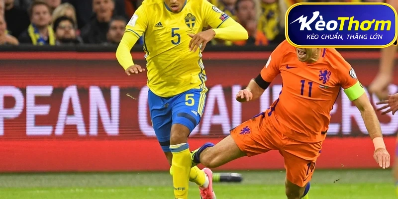 Hà Lan vs Thụy Điển | Tâm Điểm Châu Âu Đến WC 2026 3 Phân tích thực lực Hà Lan: Sự trở lại của "Cơn lốc cam"