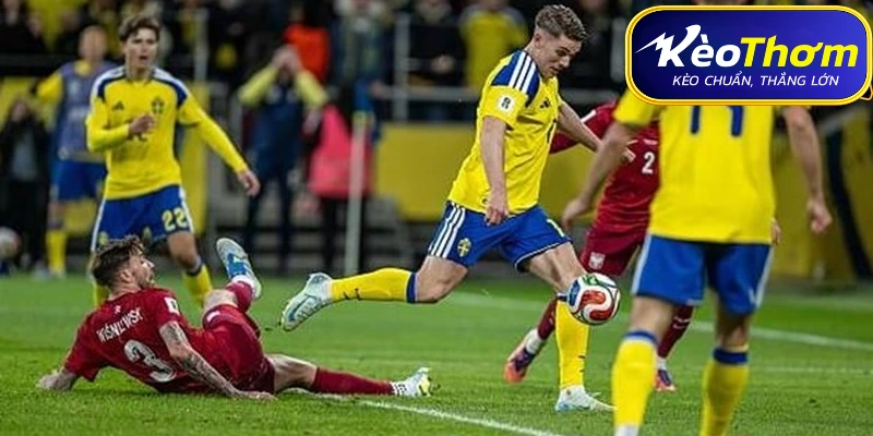 Hà Lan vs Thụy Điển | Tâm Điểm Châu Âu Đến WC 2026 5 Lịch sử đối đầu Hà Lan vs Thụy Điển: Duyên nợ chồng chất
