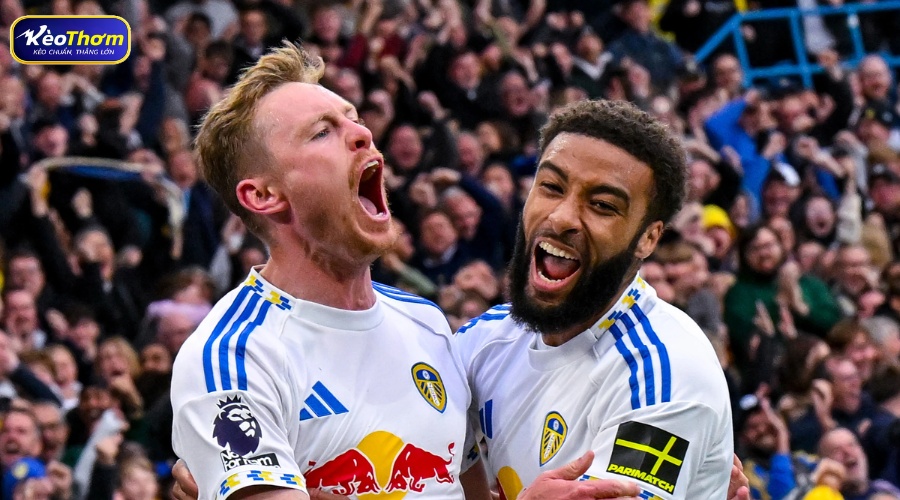 5 trận gần nhất Leeds United vs Tottenham giai đoạn 2023 - 2026