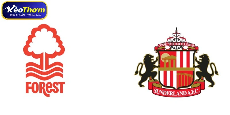 Nottingham Forest vs Sunderland