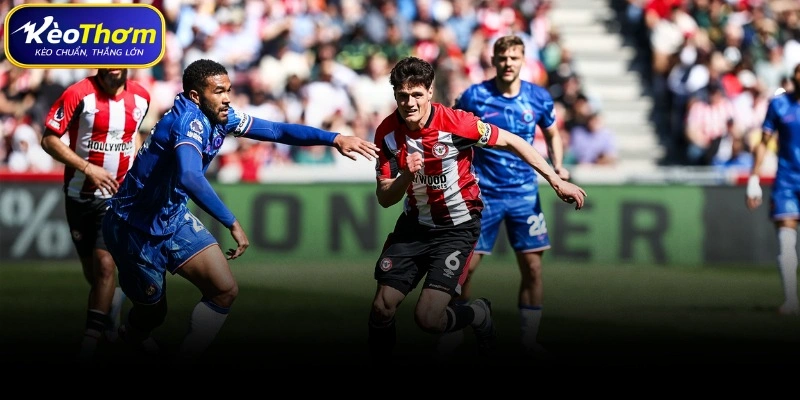 Phân tích chuyên sâu cặp đối đầu Brentford vs Chelsea