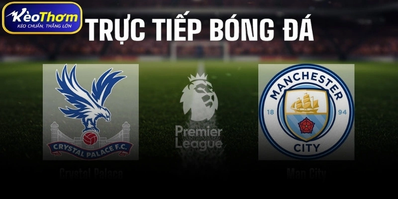 Dự báo xu hướng tương lai cặp Crystal Palace vs Man City