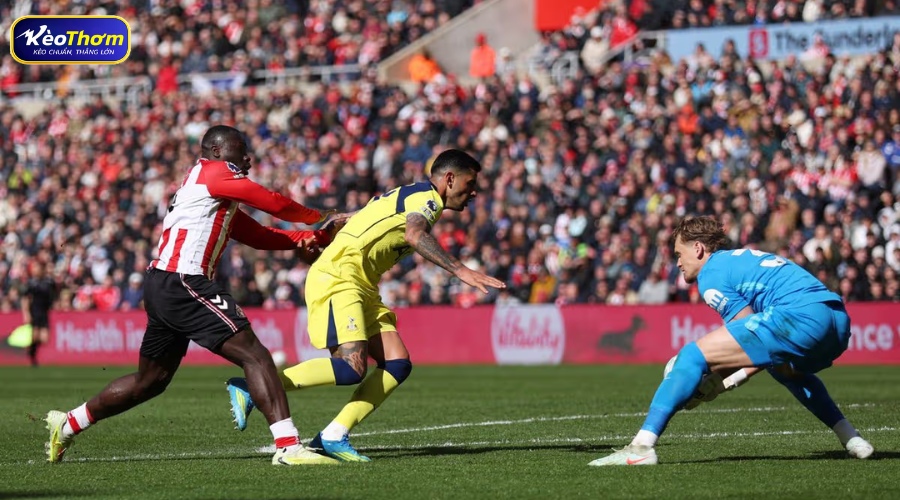 Tổng quan Tottenham vs Sunderland qua các chỉ số chính