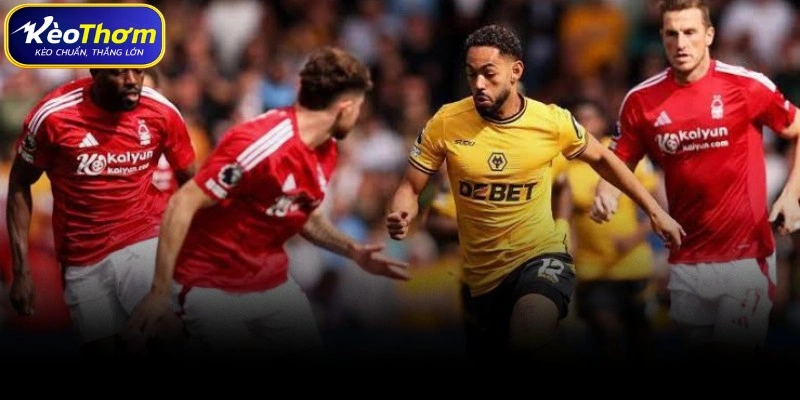 Tổng quan số liệu thống kê Wolves gặp Nottingham Forest